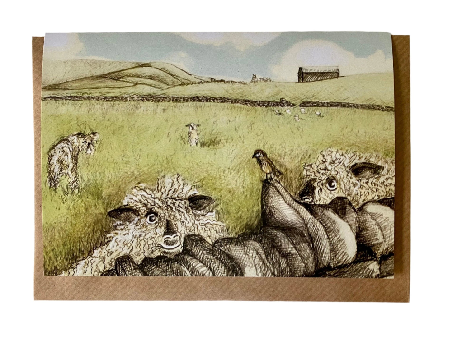 Woolly Wensley card and envelope