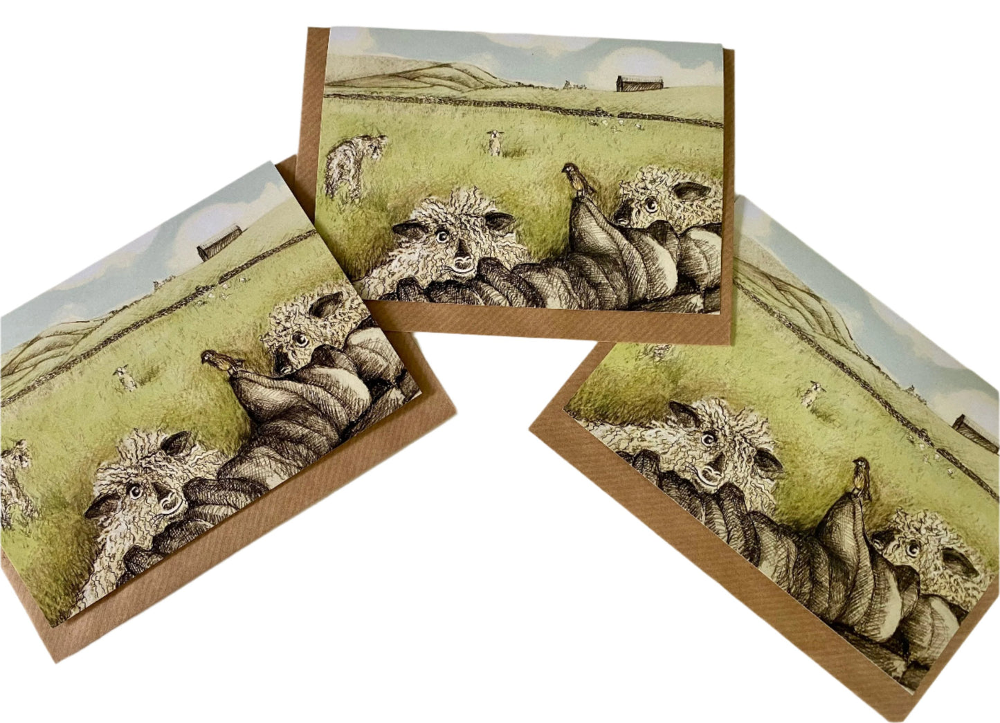 Woolly Wensley sheep card lalabuds design 3 pack