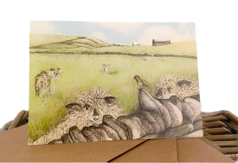 Woolly Wensley sheep illustrated notecard